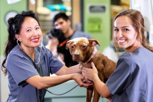 Students with Dog